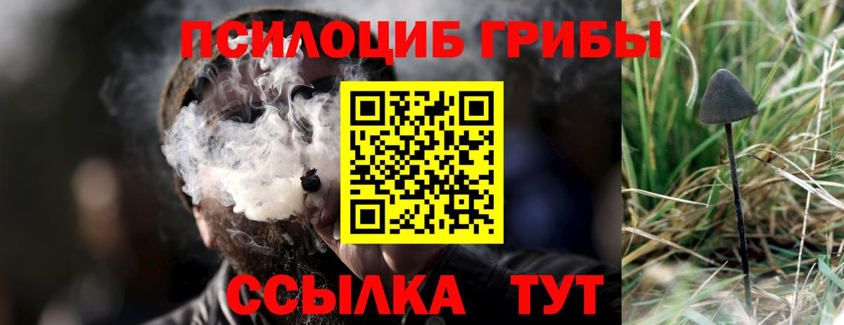 Подольск  Галлюциногенные грибы мицелий  Вход с VPN 